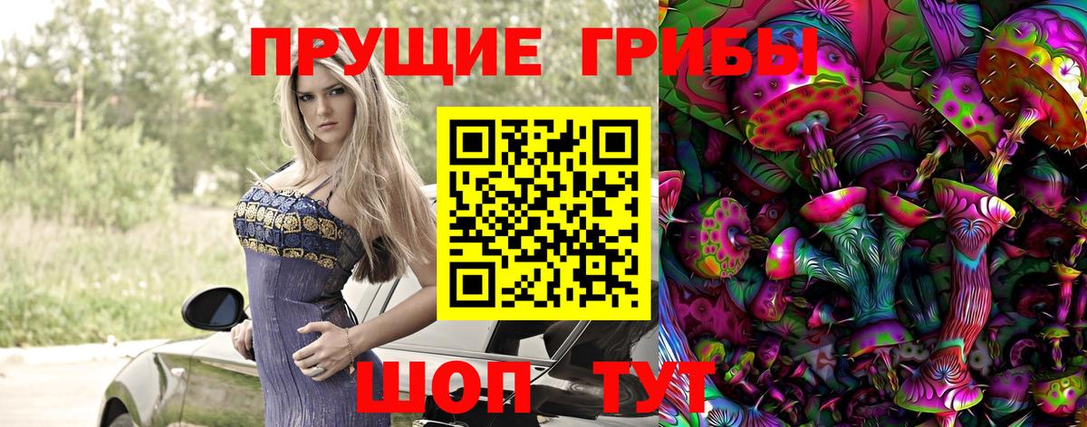 Псилоцибиновые грибы Psilocybine cubensis  Вход с VPN  где купить наркоту  Владимир 